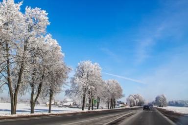 Последствия снегопада в Беларуси: отключение электричества и поваленные деревья 