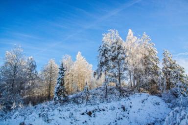 До 15 градусов мороза: Погода на неделю в Беларуси с 11 по 17 января
