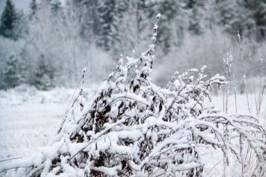 Мокрый снег и гололедица: Погода в Беларуси на 2 января