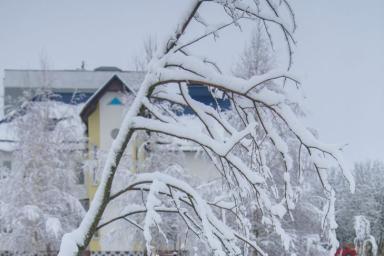 Морозы идут в Беларусь. Синоптики предупредили о погоде на выходных