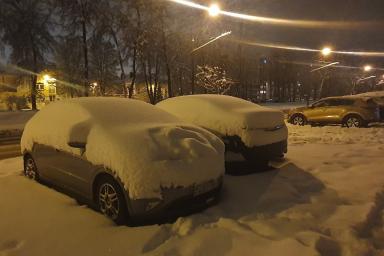 Снегопад в Минске: на 4 автомобиля рухнули деревья