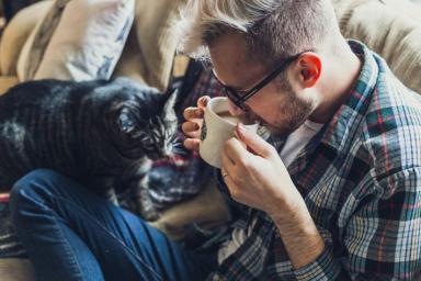 Почему кошка иногда делает вид, что вас не слышит: ученые назвали неожиданную причину