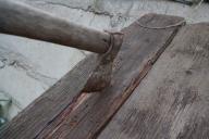 отрубил голову сестре