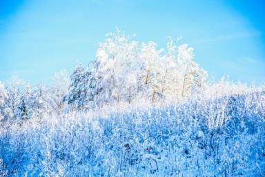 В Беларуси сильно похолодает. На этой неделе ожидаются морозы до -25 градусов