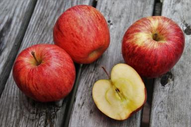 Яблоко является одним из самых полезных, вкусных и общедоступных фруктов. Эти плоды замечательно вызревают в наших климатических условиях. Существует огромное количество рецептов различных блюд из этих замечательных фруктов. Очень популярны и алкогольные напитки, полученные из яблок — сидр и кальвадос. Употребление яблок приносит огромную пользу организму. Лучшими считаются яблоки из своего сада. Плоды, купленные в магазине после длительного хранения менее полезны. Яблоки лучше всего есть свежими целиком ил