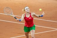 Арина Соболенко