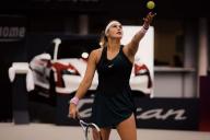 Арина Соболенко