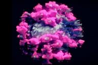 Коронавирус 3D-фотография