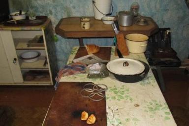 Убийство с особой жестокостью в Дятловском районе: расследование завершено