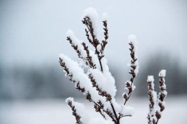 До -28 градусов: погода в Беларуси на 8 февраля