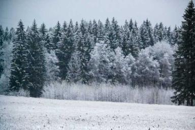 Сильный снег и метель: какой будет погода в Беларуси 11 февраля