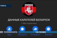 В Гомеле вынесен приговор 15-летнему администратору Telegram-канала