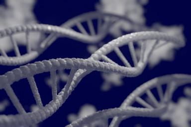 ДНК Генетика