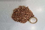 Как приготовить гречку: секреты, о которых не догадываются