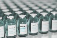 В Беларуси могут начать выпускать вакцину от коронавируса для животных