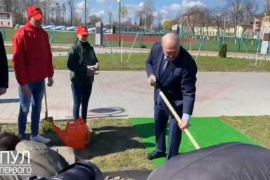 «Хлопцы, кто будет топтать?»: Лукашенко в костюме сажал деревья в Брагине
