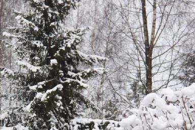 Снег и грозы: на завтра в Беларуси объявлен желтый уровень опасности