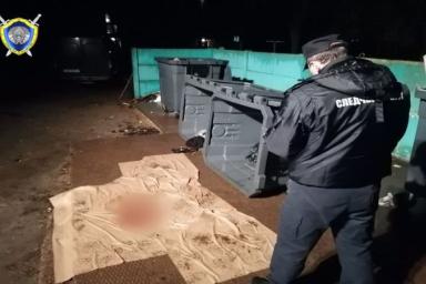 Расчлененный труп женщины нашли в мусорных баках в Барановичах