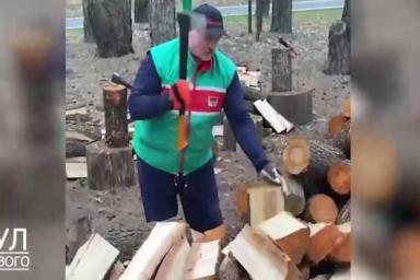 Лукашенко 1 мая колол дрова: «Пул Первого» поделился кадрами 