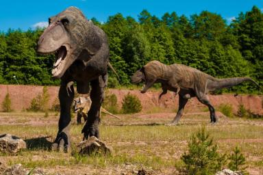 Нелепая смерть: мужчина застрял в статуе динозавра, пытаясь достать телефон 