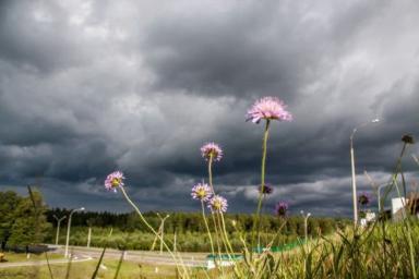 Дмитрий Рябов рассказал, какой будет погода в июне в Беларуси