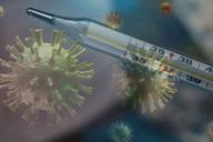 коронавирус