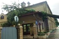 Гродно Гроза