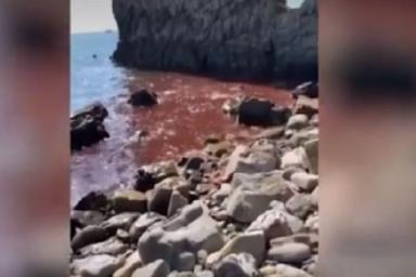 Черное море резко стало красным: стоит ли паниковать туристам