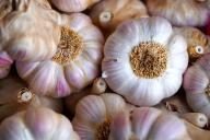 Чеснок