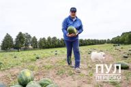 Александр Лукашенко