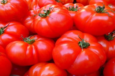 Как определить по листьям, чего не хватает помидорам в теплице
