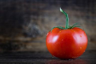 Как защитить помидоры от тумана: что делают опытные огородники