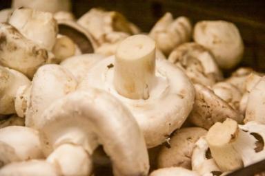 Как и сколько нужно варить грибы перед заморозкой 