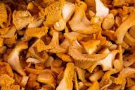 Для чего опытные хозяйки бросают лук при варке грибов: хитрость, о которой вы не знали 