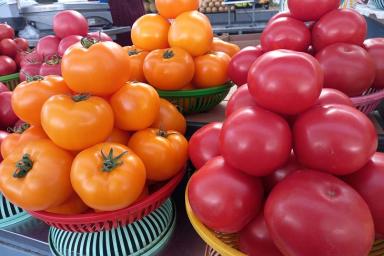 Белая сердцевина у помидоров: что за напасть и как бороться