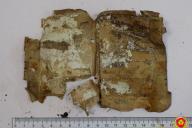 экспертиза