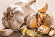 чеснок