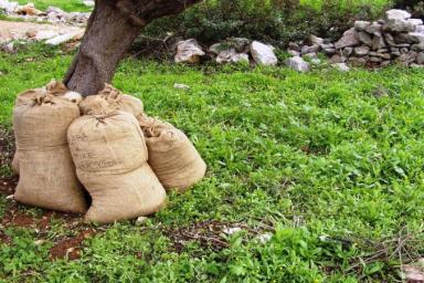 «Быстрый» осенний компост в мешках: будет готов уже к весне