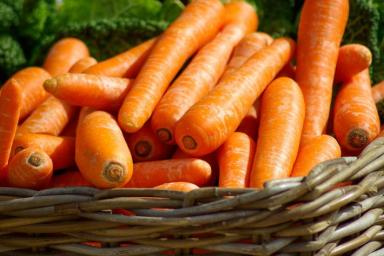 Нужно ли обрезать морковь перед хранением: секреты, о которых забыли