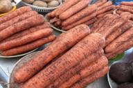 Врач рассказала, об опасности моркови для трех групп людей