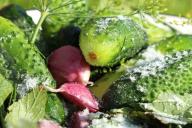 Маринованные огурцы стали жуткой кислятиной: как вернуть им прежний вкус