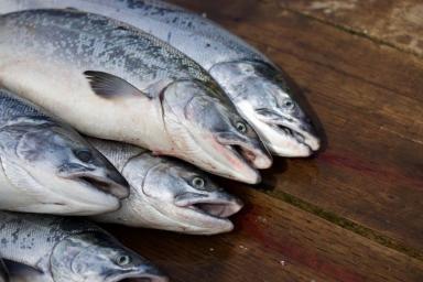 Как быстро разморозить рыбу без микроволновки: секреты, которыми не пользуются молодые хозяйки