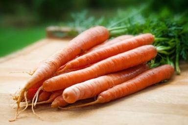 Что сделать, чтобы морковь в погребе не прорастала: непростительные ошибки