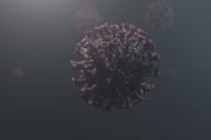 Коронавирус