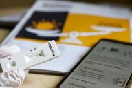 Пандемии конец? Ученые открыли антитело, нейтрализующее все штаммы COVID-19