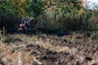 Как избавиться от травы и сорняков с помощью уксуса: огородная хитрость