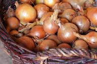 Как хранить лук в квартире, чтобы не сгнил: советы хозяйкам