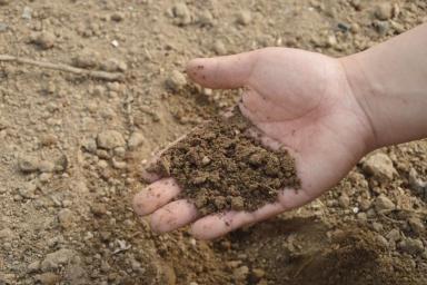 Что делать, если почва на участке плотная, как бетон: полезные подсказки огородникам