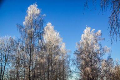 Синоптики рассказали белорусам о погоде 1 и 2 января: каких «сюрпризов» ждать 