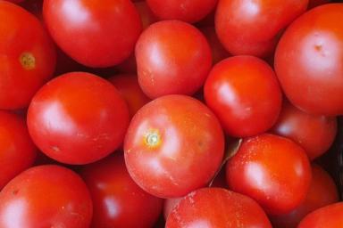 На каком расстоянии сажать помидоры, чтобы урожай собирать ведрами: это должны знать все огородники